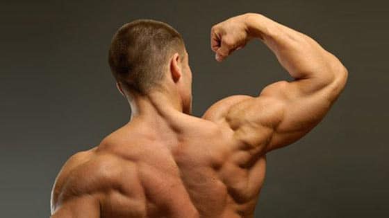 comment construire du muscle : à quelle vitesse puis-je construire du muscle ?