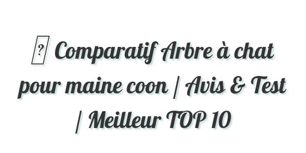 ▷ Comparatif Arbre à chat pour maine coon / Avis & Test / Meilleur TOP 10