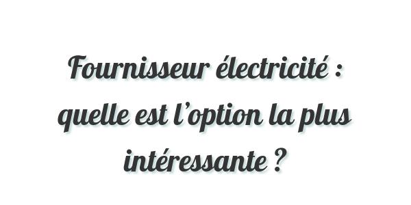 Fournisseur électricité : quelle est l’option la plus intéressante ?